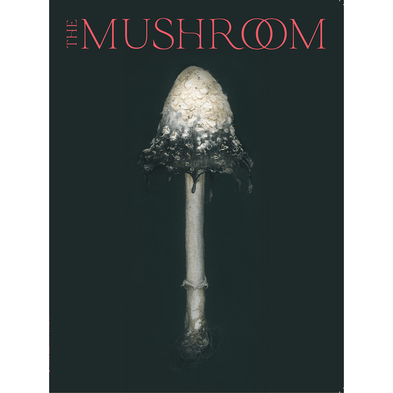 The Mushroom Issue 3